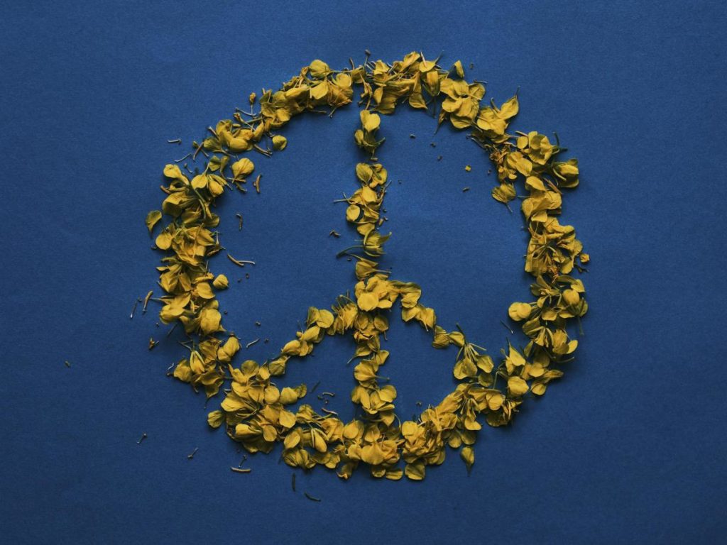 Pace è disarmo